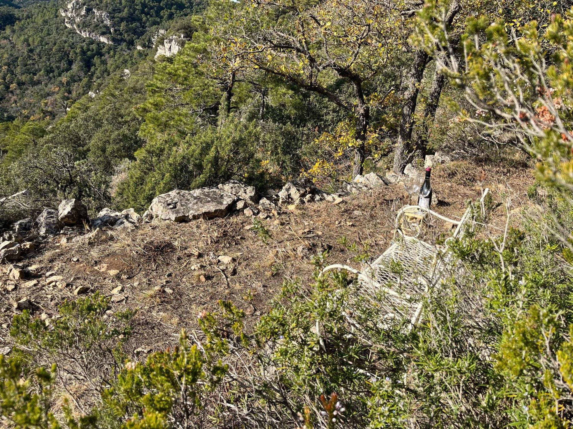 Masiadenjust Rojals Dış mekan fotoğraf