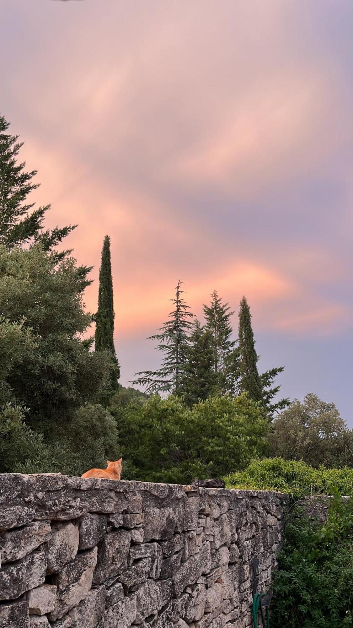 Masiadenjust Rojals Dış mekan fotoğraf