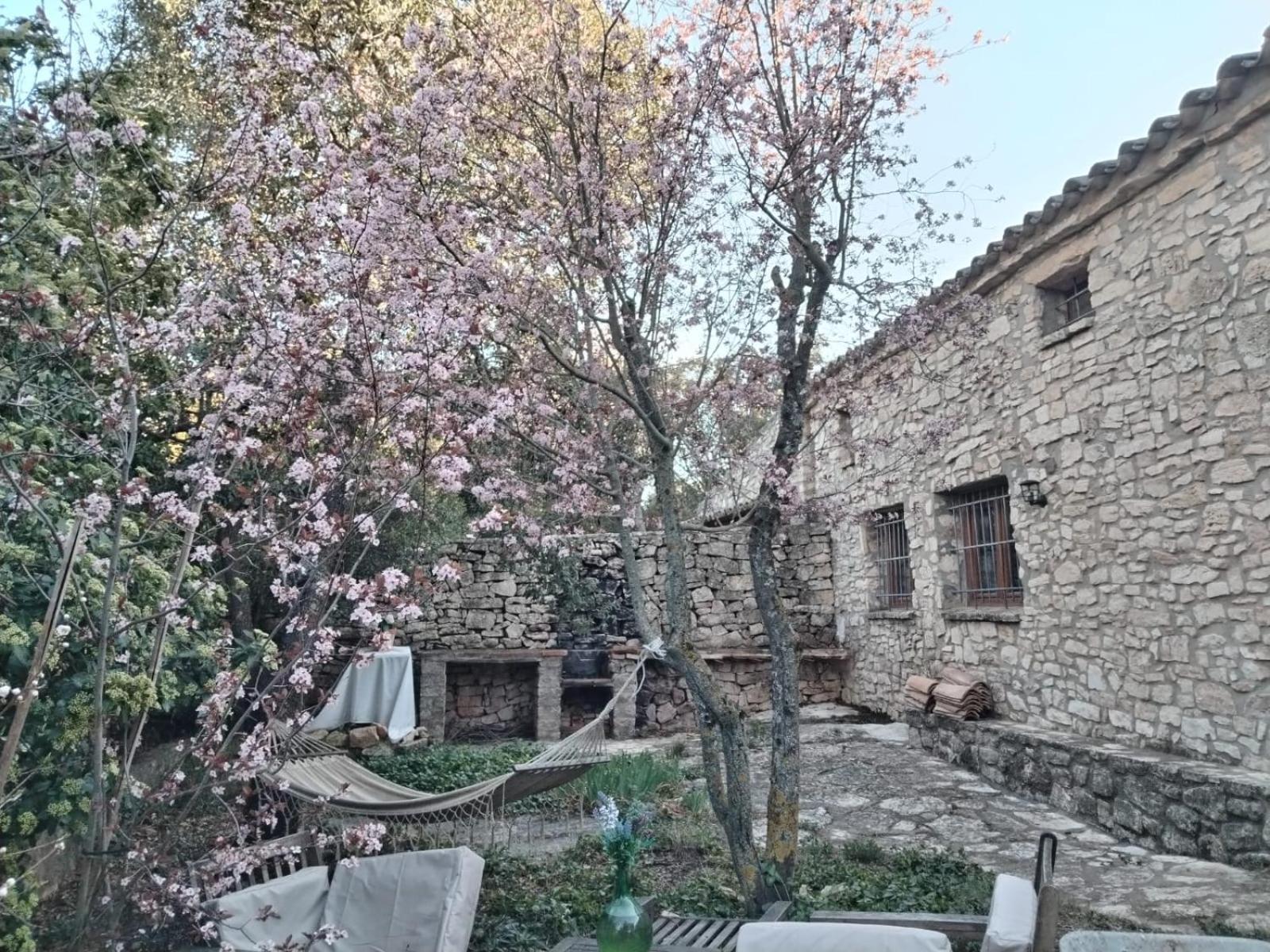 Masiadenjust Rojals Dış mekan fotoğraf