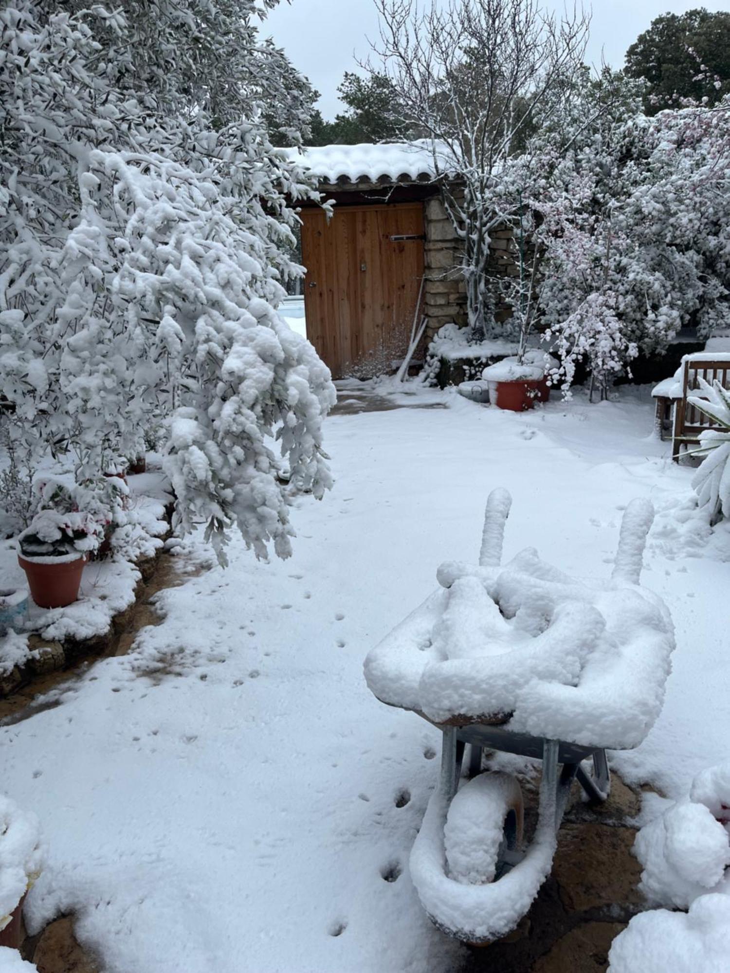 Masiadenjust Rojals Dış mekan fotoğraf
