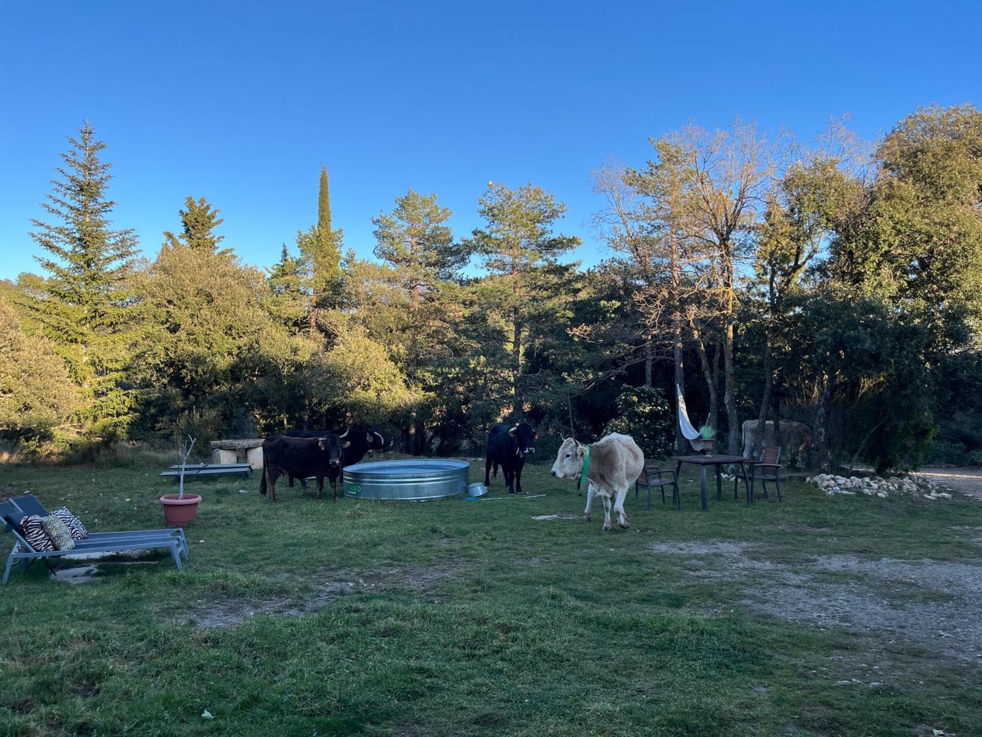 Masiadenjust Rojals Dış mekan fotoğraf