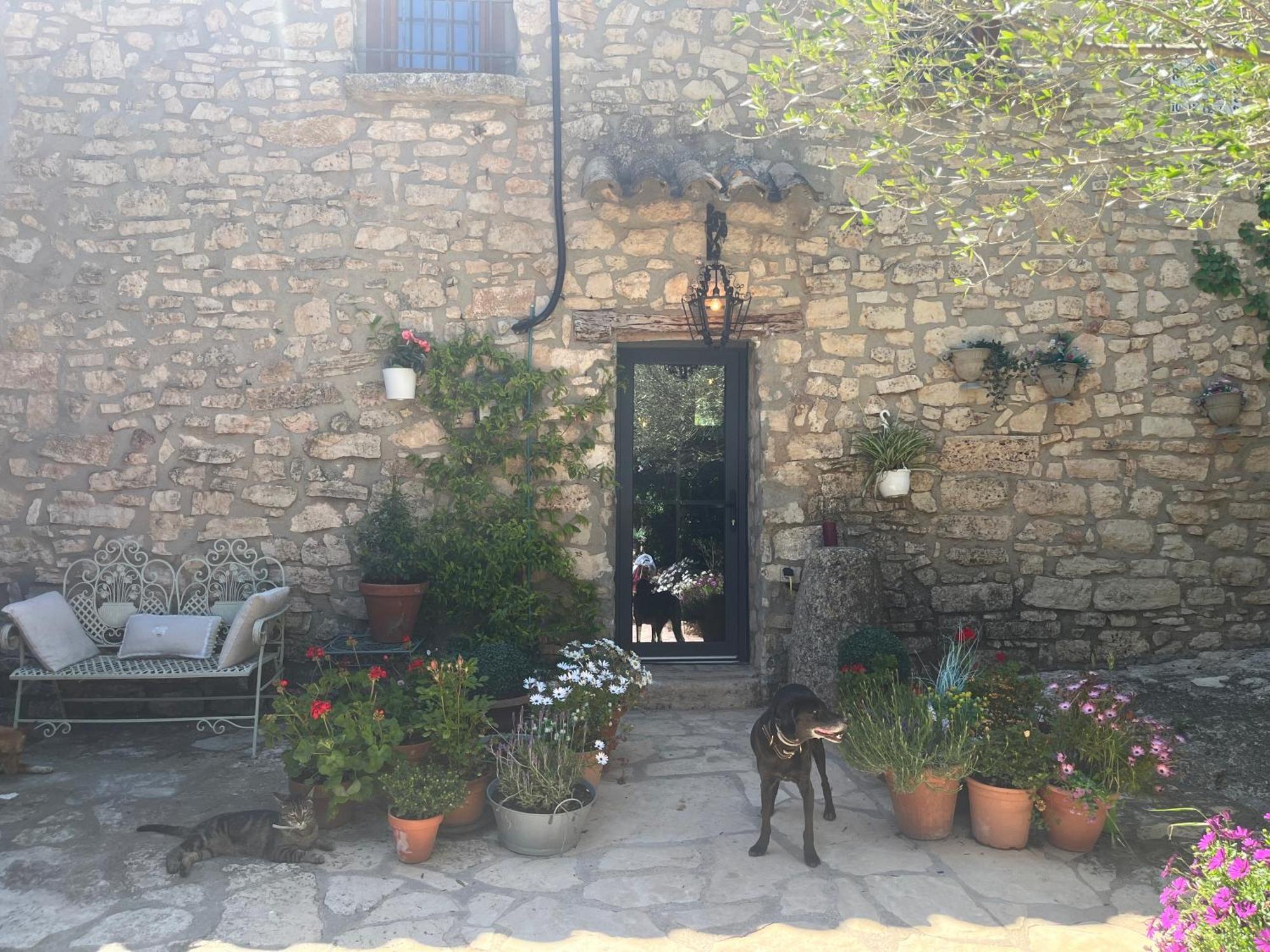 Masiadenjust Rojals Dış mekan fotoğraf